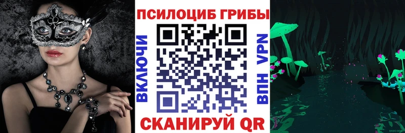 Псилоцибиновые грибы Psilocybine cubensis  Купить закладки  Тында 